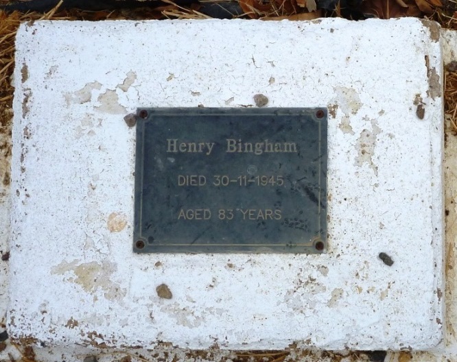 Henry Bingham