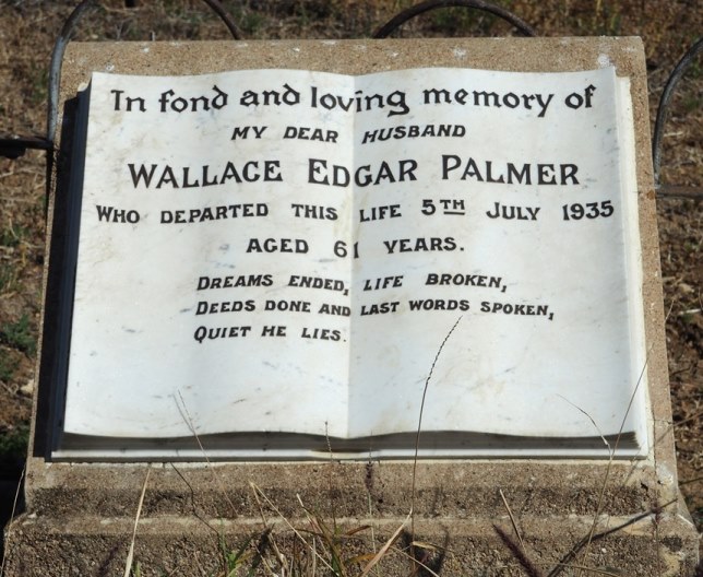 Wallace Edgar Palmer